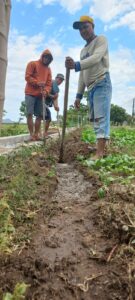 Sejumlah pekerja sedang menggali lubang untuk ditanami pipa air. (Foto : Ferdy Jemaun)