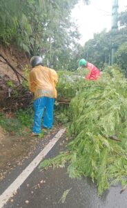 Staf dari Dinas Lingkungan Hidup sedang membersihkan jalan dari pohon yang tumbang akibat hujan angin. (Foto : Ist.)