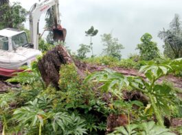 Evakuasi longsoran tanah dari ruas jalan Werang-Nunang-Naga. (Foto : Dok. Dinas PU Mabar)