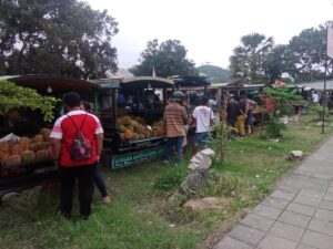 Para pedagang Durian di halaman kantor Dinas Cipta Karya. (Foto : Dok. Satpol PP)