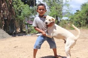 Labuan Bajo Bebas Rabies untuk mendukung pariwisata berkelanjutan.