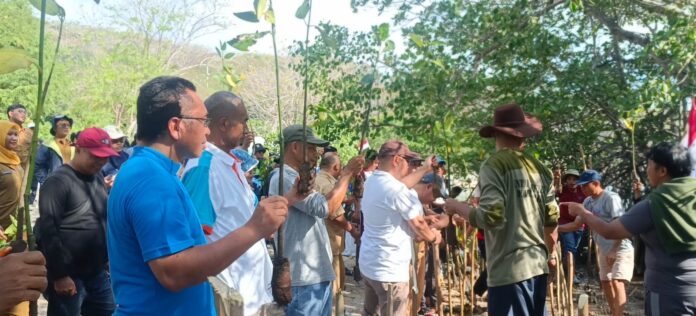 Asisten Lois (ketiga dari kiri) saat menanam Pohon Mangrove di Pantai Binongko. (Foto : Siti Rafika)