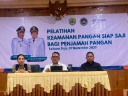 Kadis Kesehatan Manggaarai Barat, Adrianus Ojo (tengah) saat memberikan sambutan. (Foto : (Dok. Dinkes Mabar)