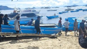 Ketinting yag diserahkan kepada nelayan. (Foto : Tildis)