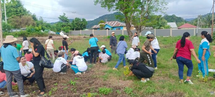 Aktivitas penanaman pohon DWP Manggarai Barat di areal sekitar Gereja St. Petrus Serenaru. (Foto : Rafika)