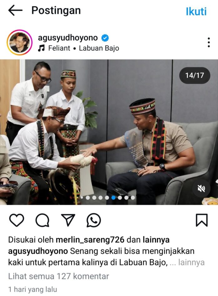 Menko AHY saat mengelus kepala ayam putih pada prosesi adat Manuk Kapu. (Foto : Instagram Menko AHY)