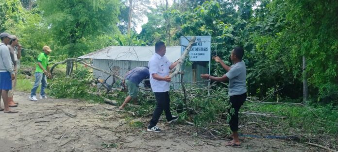 Kades Batu Cermin saat mengevakuasi pohon di wilayah kerjanya. (Foto : Ferdy Jemaun)